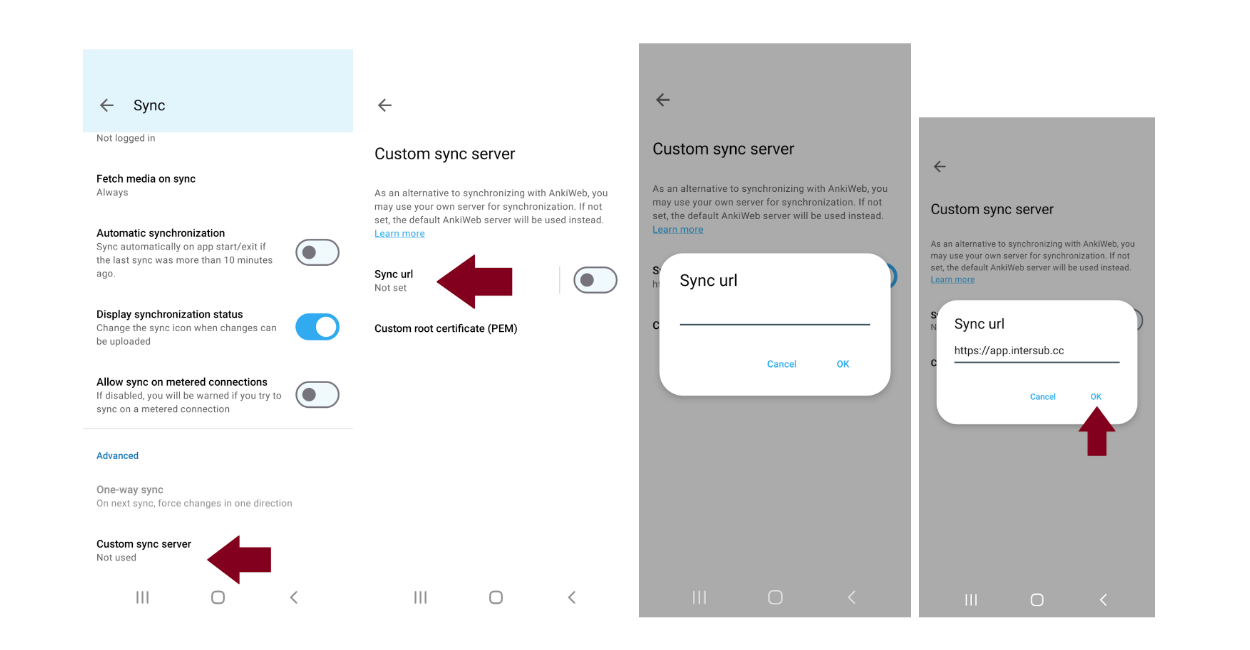 AnkiDroid InterSub Sync